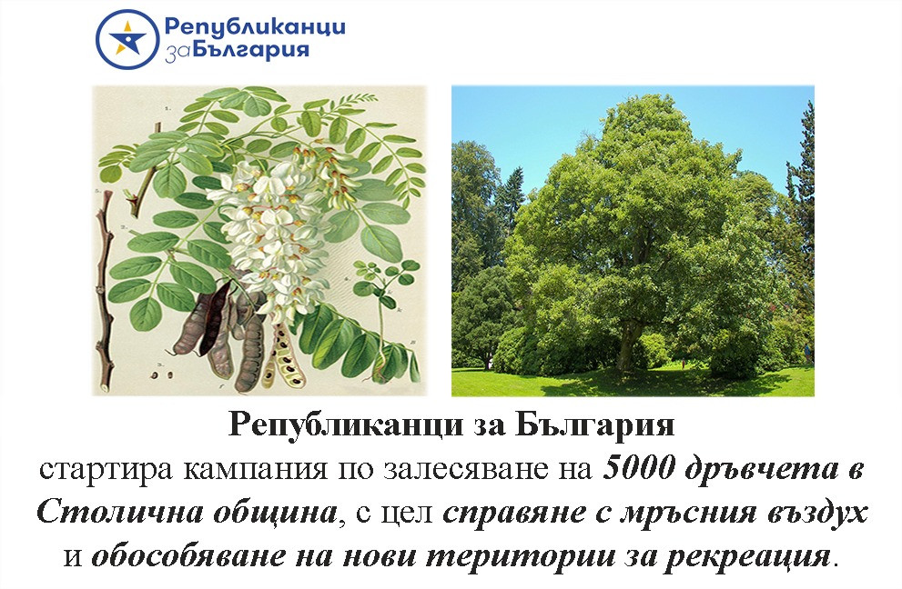 Републиканци за България-София-град стартира кампания по залесяване на 5000 дръвчета