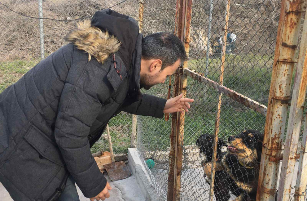 Д-р Виктор Серафимов: Доброволците, посветени на бездомни животни да са част от зоополиция