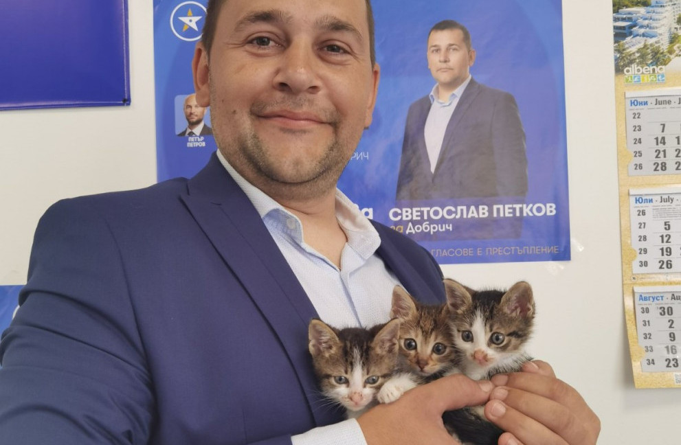 Републиканци за България в помощ на животните в беда